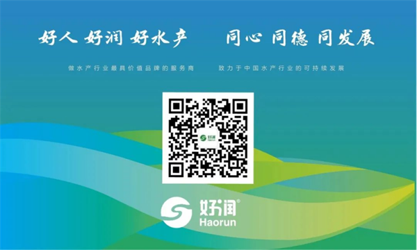 11.25【集團簡訊】好潤集團助力蝦蟹産業發展，榮獲多個獎項赢得市場認可！929