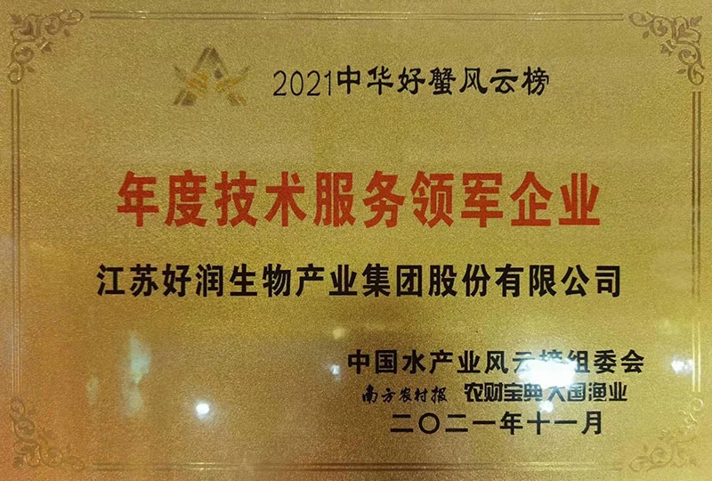 2021年度技術服務領軍企業